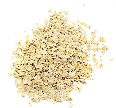 Fine Oat Flakes in bulk Organic